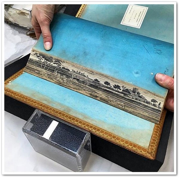 recueil d'Idées Nouvelles pour la decoration des Jardins et des Parcs