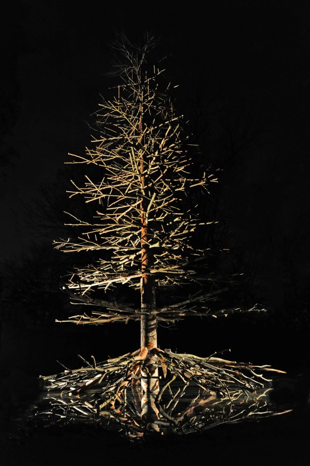 De_lucchi_orto_phcalore2.